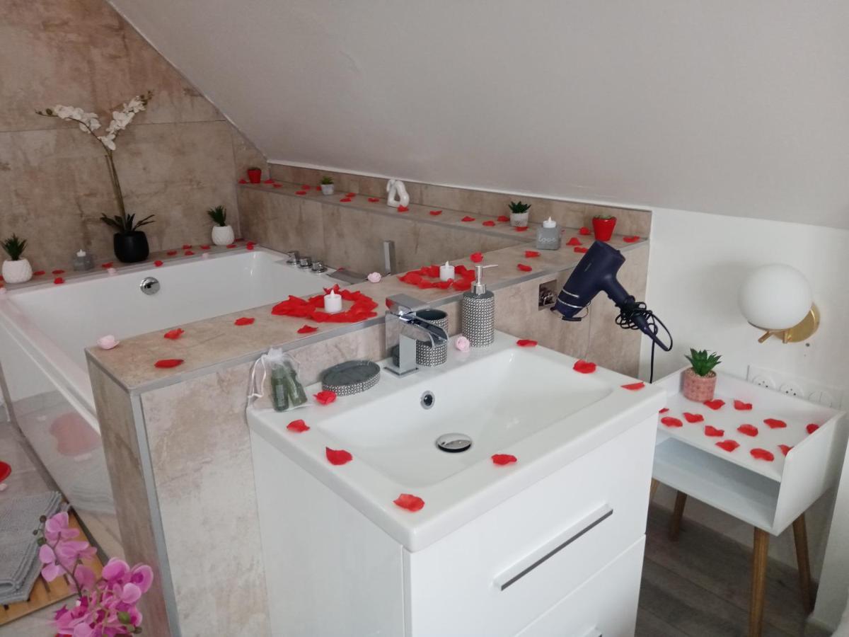 Studio Jacuzzi Au Centre Colmar Luaran gambar