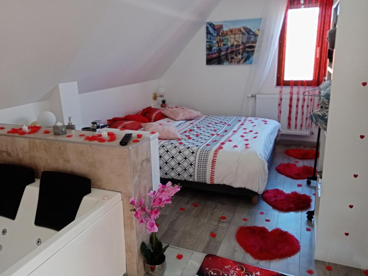 Studio Jacuzzi Au Centre Colmar Luaran gambar