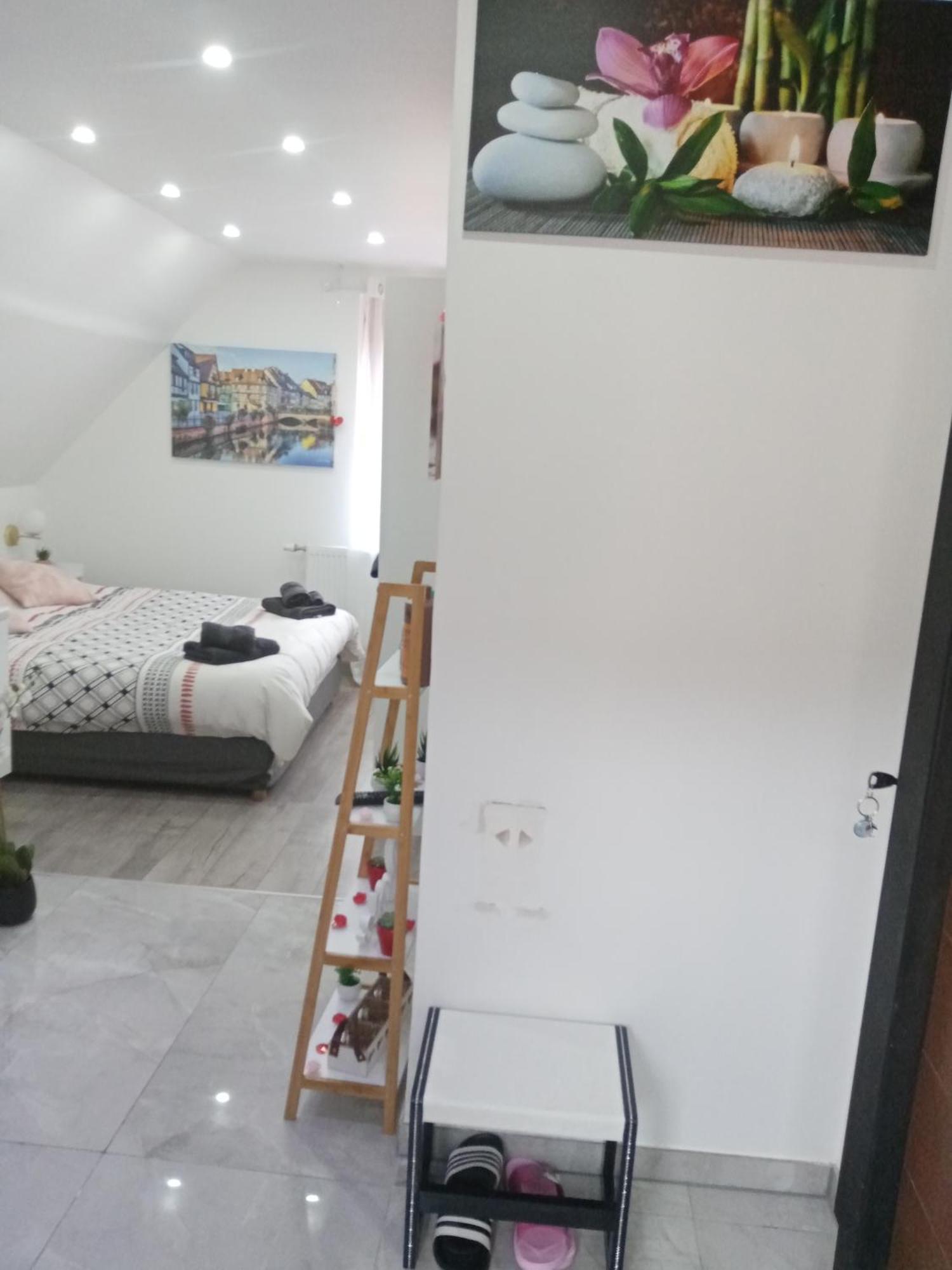 Studio Jacuzzi Au Centre Colmar Bilik gambar